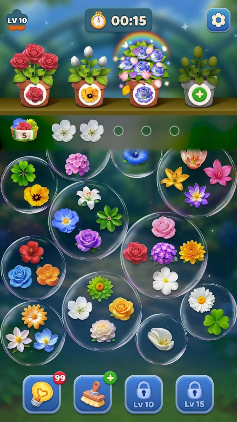 Blossom Go