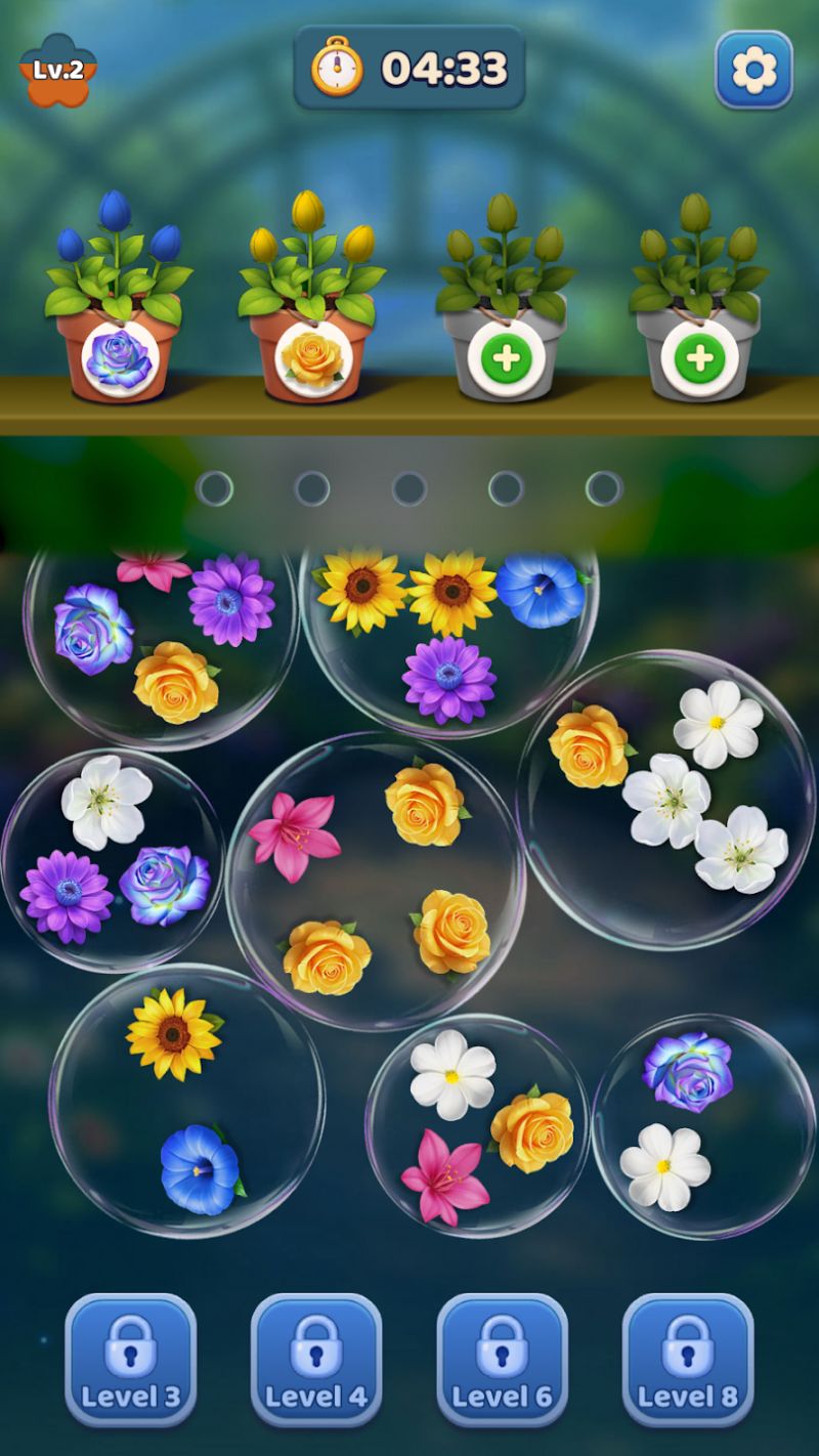 Blossom Go
